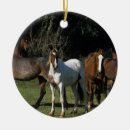 Search for wild one christmas tree decorations Equestrian