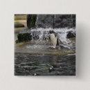 Search for zoo square badges Animals