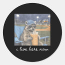 Search for absolute stickers Really very