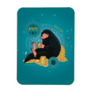 Search for suitcases magnets Wizarding world