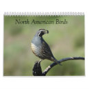 Search for fowl photography Wildlife