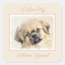 Search for tibetan spaniel stickers Tibbie