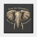 Search for tusks magnets Wildlife