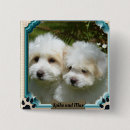 Search for cavachon gifts Pet