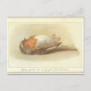 Search for vintage bird christmas cards Weird