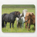 Search for ranching mouse mats Horse