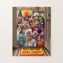 Search for trick puzzles Pets