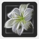 Search for beautiful flower stickers Elegant