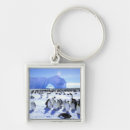 Search for antarctic key rings Sea