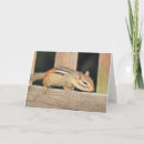Search for cute chipmunk birthday cards Animals