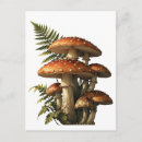 Search for red mushrooms postcards Amanita