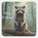 Search for racoon stickers Forest