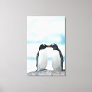 Search for penguin canvas prints Wildlife