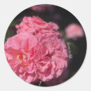 Search for rose garden floral stickers Pretty