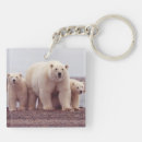 Search for bear family key rings Bears