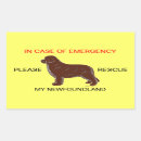 Search for dog safety stickers Emergency
