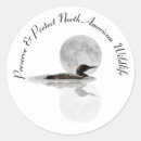 Search for loon stickers Wildlife
