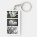 Search for supporter photography Flowers