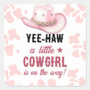 Search for pink cow print stickers Western
