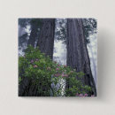 Search for state park square badges California