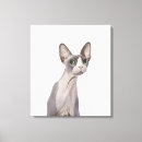 Search for sphynx cat art Animals