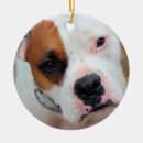 Search for white boxer christmas tree decorations Cute