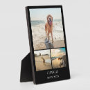Search for pet supplies Cute