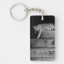 Search for stray key rings Cute