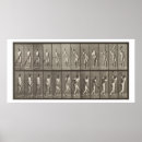 Search for eadweard muybridge posters From
