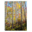 Search for aspen notebooks Superstock