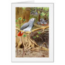 Search for african grey parrot Vintage