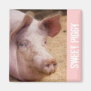 Search for hog magnets Farm