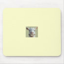 Search for braces mouse mats Orthodontic