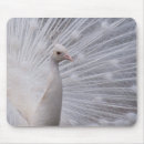 Search for purity mouse mats Close up