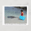 Search for honu postcards Turtle