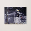 Search for pelican puzzles Water