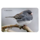 Search for slate magnets Grey