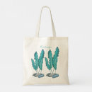 Search for kelp bags Seaweed