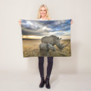 Search for calf blankets Cute