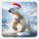 Search for glacier ice stickers Antarctica