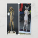 Search for compared Silly