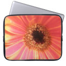 Search for orange gerbera electronics Pretty