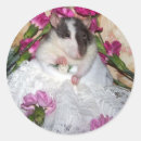 Search for pet rat stickers Mouse