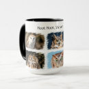 Search for feathered friends mugs Nature