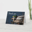 Search for wild duck cards Nature