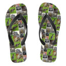 Search for kangaroo flipflops Wildlife