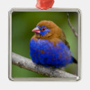 Search for kenya christmas tree decorations Colourful