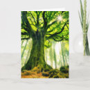 Search for tree trunks cards Woods