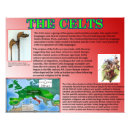 Search for celte posters Ancient