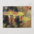 Search for foraging postcards Forest